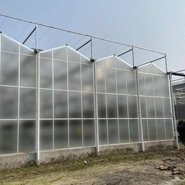 Agriculture Film Clear Polycarbonate Greenhouse Transparent Square Steel Frame Coating