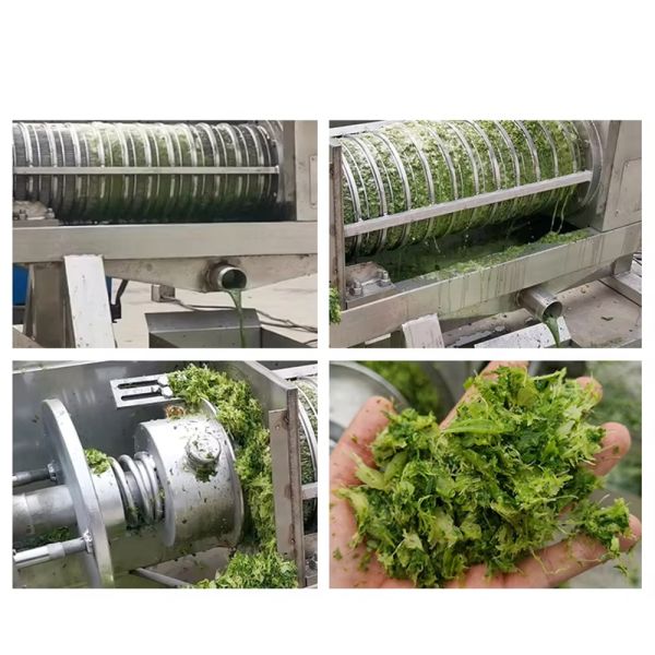 Custom Stainless Steel Food Waste Sugarcane Pulp Hydraulic Dehydrator / Fruit & Vegetable Juicer Screw Press Dehydrator Commercial Juicer