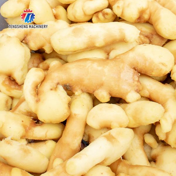 Fruit and Vegetable Draining Machine Fruit Vegetable Onions Herbs Saiko persimmon Carrot radish Cabbage Shiitake mushrooms Mushrooms Bamboo shoots Wash Cleaning Dryer Drying Ginger onion garlic