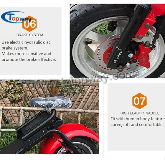 High Quality Halley 1500w Citycoco Scooter Electric Motorcycle