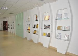 Shanghai Honglian Medical Tech Group