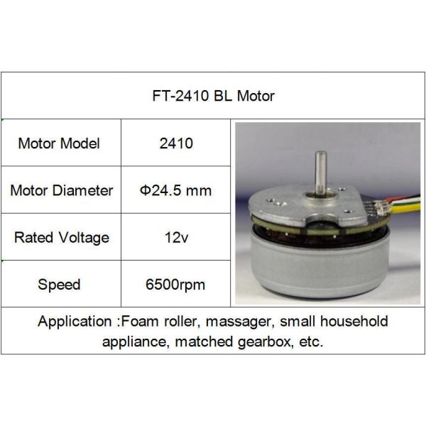 FT-2410 BL Motor 6500rpm High Torque 12V Brushless Motor DC Motor