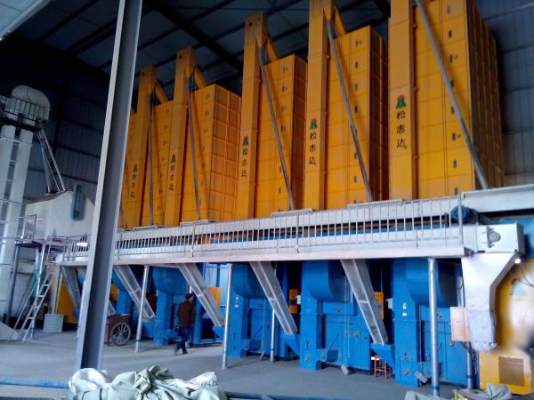 20000K 20 toneladas de Paddy Dryer Machine Rice Mill para o material da biomassa