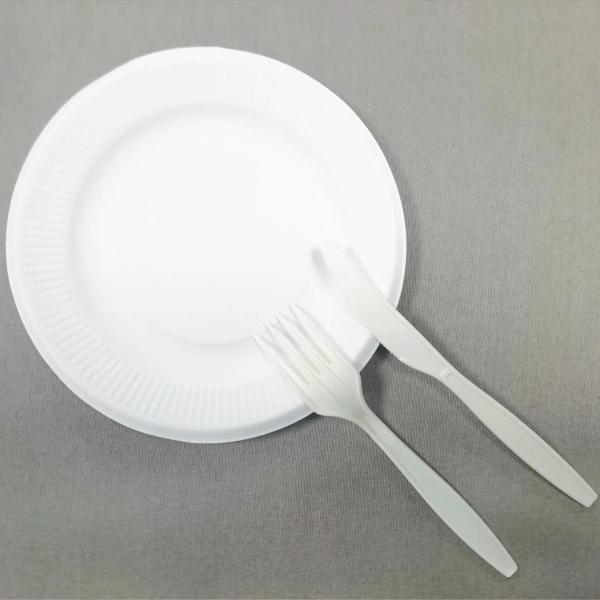 5 inch sugarcane compostable plates Natural plant fibers Plate, eu standard food dish biodegradable party plate