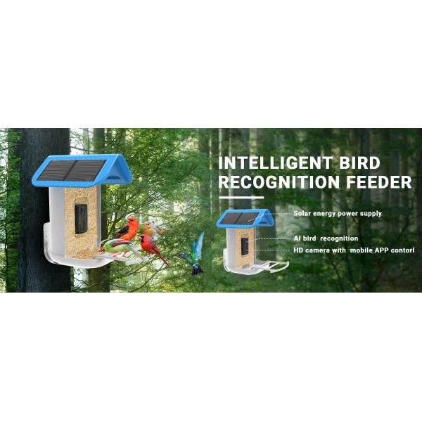 Умная кормушка для птиц на солнечных батареях Автоматическая съемка видео о птицах и обнаружение движения птиц AI Определение видов