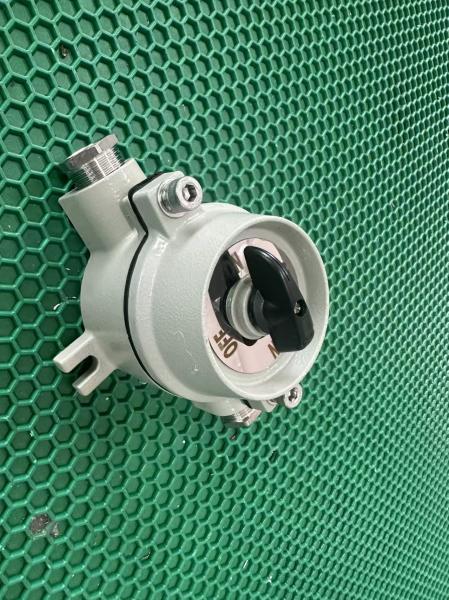 2 Poles Explosion Proof Switch Cable Entry G3/4'' for Chemical Storage Facilities