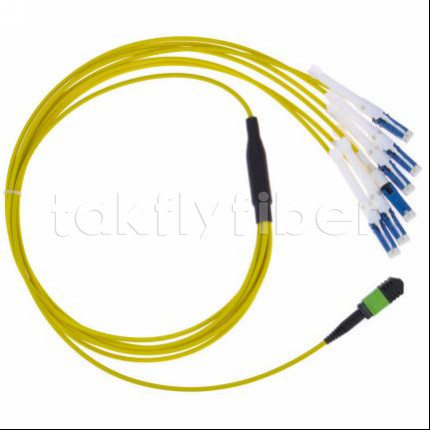 24 Core MPO MTP Fiber Optic Connector with APC Simplex SC Connector Type and