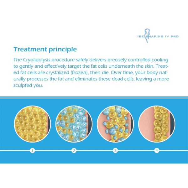 2017 newest design products supply OEM/ODM service Cryolipolysis Slimming (ICE SHAPING IV PRO)