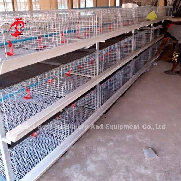 A And H Poultry Broiler Cage Raising Equipment For Day Old Chicks Sandy