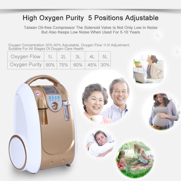 Ce Certified Portable Oxygen Concentrator Hight Purtiy Home Concentrador de Oxigeno Portatil With 2 Year Warranty