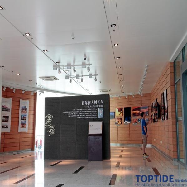 CTC Suspended 2.5mm Fire Rated False Ceiling Weather Resistance