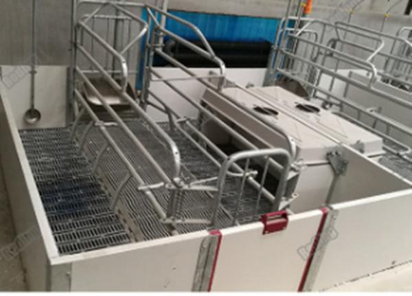 baby pig used nursery weaning crate weaning fence for piglets