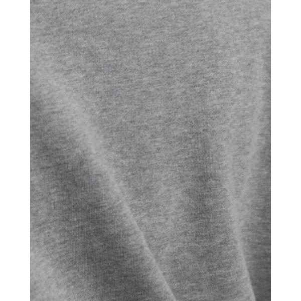 Женщины фуфайки серого хлопка дам двухкусочные установленные