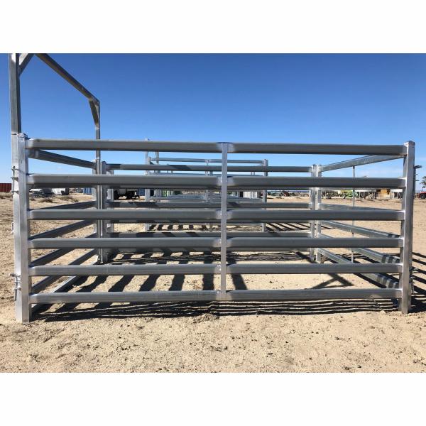 Length 2.1m Heavy Duty Sheep Livestock Panels Round Tube Square Tube Oval Tube
