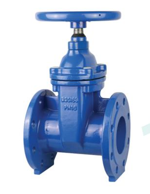 Gate	Metal Seated Gate Valve DN50 - DN300 Port Size API Certificate