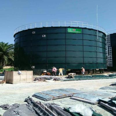 1 MW Biogas Power Plant Anaerobic Reactor Renewable Energy Plants