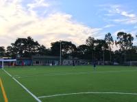 Grama artificial de múltiplos propósitos do futebol para o campo de futebol exterior