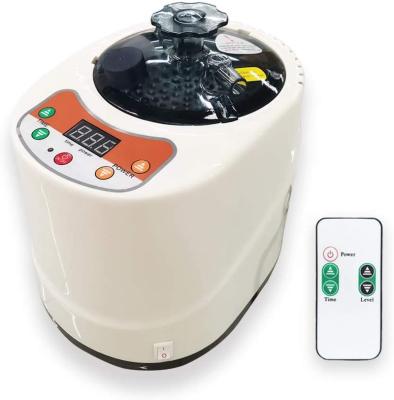 2 Liter Modern Portable Sauna Steam Pot Generator For Home Steam Saunas Spa Machine For Body Detox Weight Loss US EU Plug