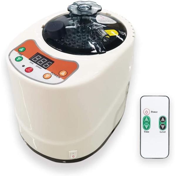 2 Liter Modern Portable Sauna Steam Pot Generator For Home Steam Saunas Spa Machine For Body Detox Weight Loss US EU Plug