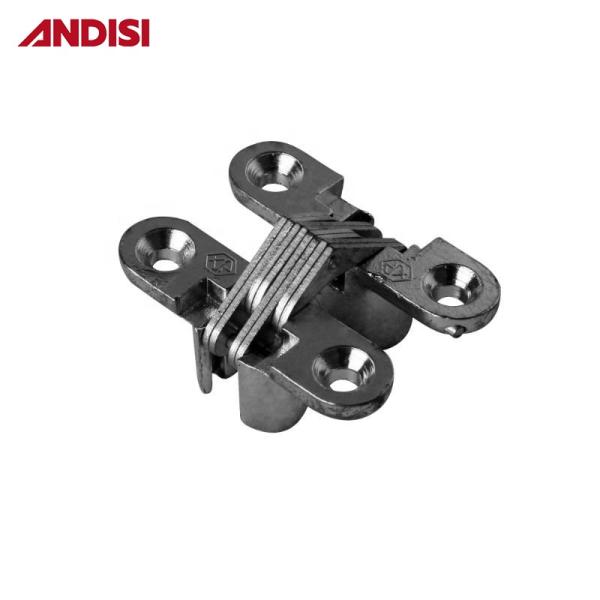 Zinc Alloy Pivot Hidden Butt Cross Special Type Invisible Hinge for Furniture Market