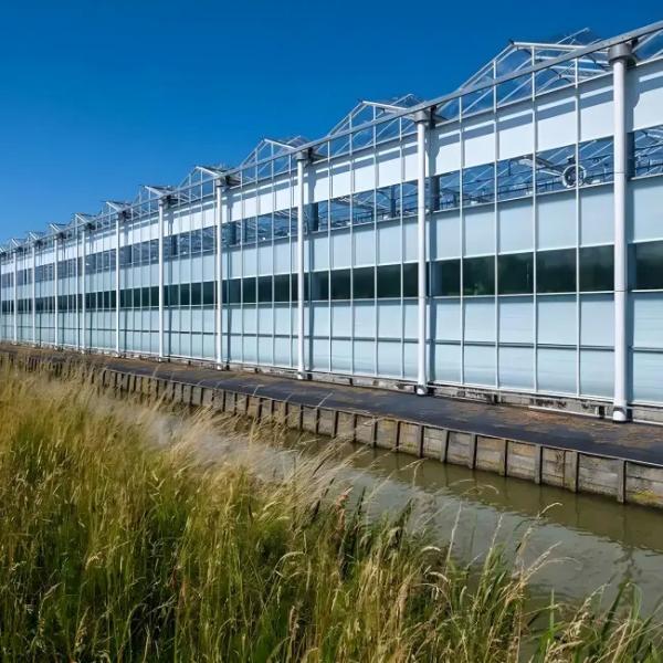 High-Light-Transmission Venlo-Type Glass Greenhouse Adapted for Soilless Cultivation