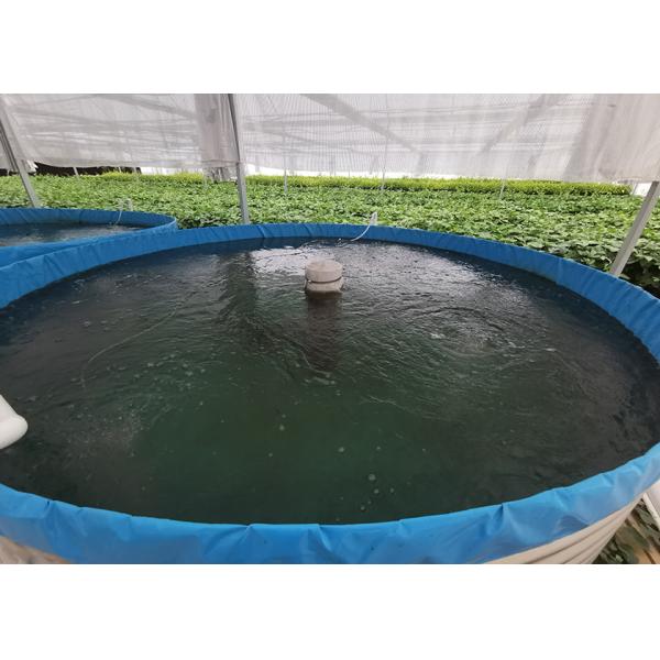 Industrial Indoor Recirculating Aquaculture System 7kg/M³ Shrimp Density 30% Faster Growth
