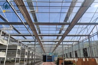 Hydroponic Transparent Glass Greenhouse For Plants With Ventilation Cooling System