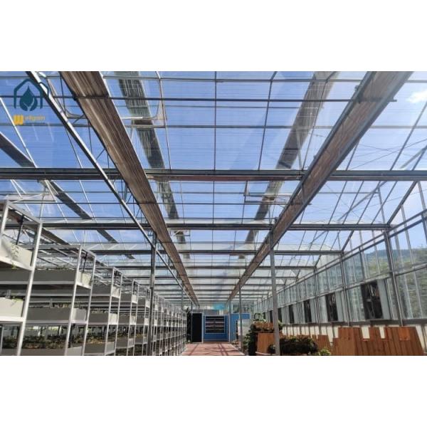 Transparent Glass Greenhouse Customized Commercial Hydroponic Greenhouses With