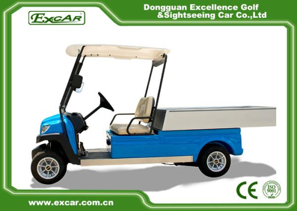 3.7KW Blue Buggy Car for Hotel Farm With 48V Lithium Battery