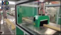 Línea de extrusión automática de tablas de WPC de 22kw de Siemens Motor para tablas verdes ecológicas