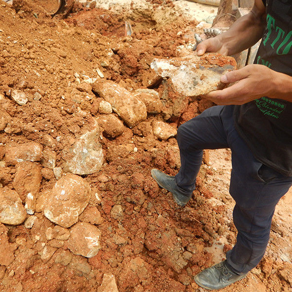 Гидравлическая роторная буровая установка с шасси Caterpilar для строительства дорог TYSIM KR125C Максимальн Сверлить Диаметра 1300 Mm