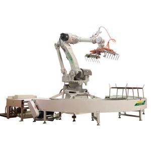 Robot Production Line