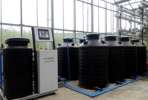 Sainpoly Hydroponic Lettuce Venlo Greenhouse Tunnel Green House Customized