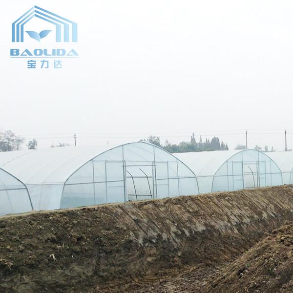 Mini Hot Stove Poly Tunnel Walk In Greenhouse Plastic Covering Tunnel Plastic Greenhouse