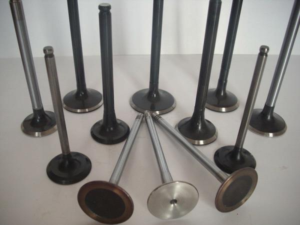 Custom Autoparts N20 Engine Intake Valve And Exhaust Valve OEM 4007004Z-S
