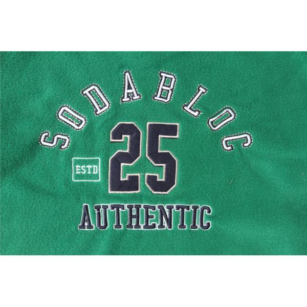 100% Polyester Children's Winter Clothes Green Blue Kids Hoodies With Strings