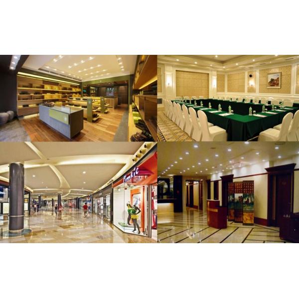 COB 30W Led Ceiling Light