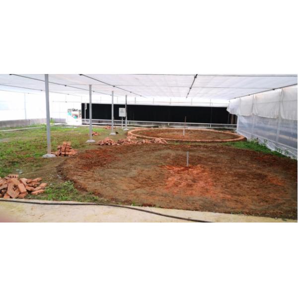 Industrial Indoor Recirculating Aquaculture System 7kg/M³ Shrimp Density 30% Faster Growth