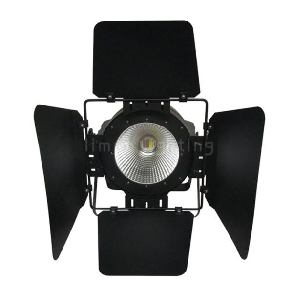 RGBW 4in1 Full Color LED Wash Cob Par Light 100W for Ballroom Banquet Hall
