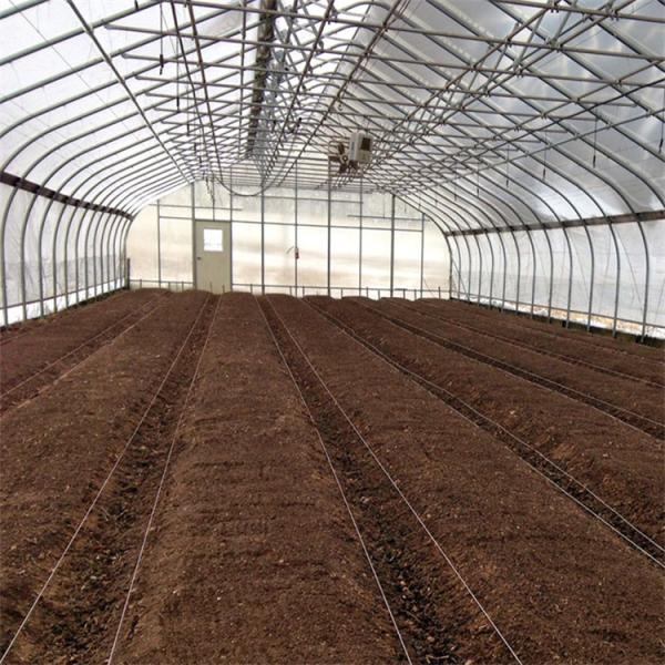 PE Tunnel Single Span Greenhouse Hot Galvanized Steel Transparent Color