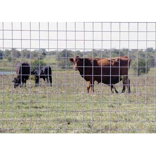 固い構造 耐久性