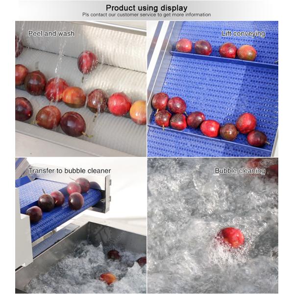 Roller brush bubble washing production line Fruit Vegetable FOOD processing production Machine
