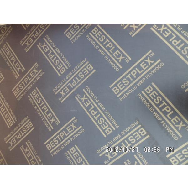 phenolic Film faced plywood 