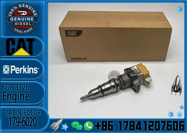 Fuel Injector Assembly 179-6020 177-4752 178-0199 178-6342 135-5459 198-6605 218-4109 For CAT Engine 3126