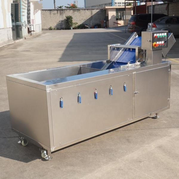 Commercial Automatic Vegetable Washing Conveyor Machine Onion Drowning Bath For Food Core Motor Pump Engine For Fruits Water