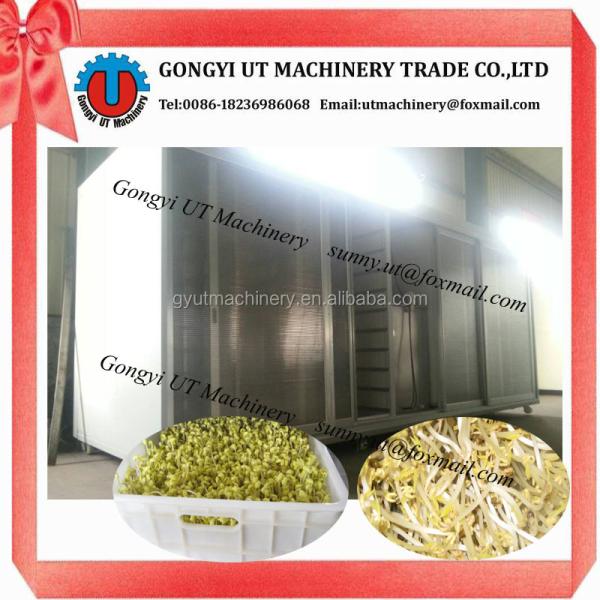 Equipo de procesamiento de raíces de frijoles para consumo diario de agua de 3m3 Producción de brotes