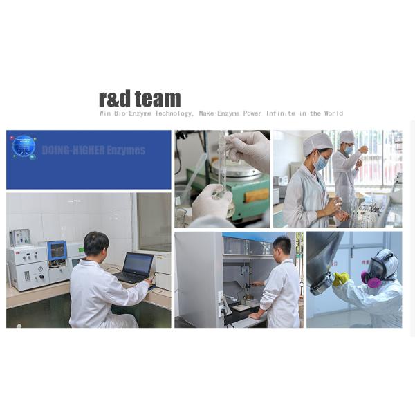 50000U/G-200000U/G Proteasa Ácida Para Fermentación de Alimentos Acortando el Ciclo de Fermentación