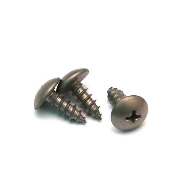 Stainless Steel 410 SS Truss Head Self Tapping Metal Screws Phillips Drive JIS Standard