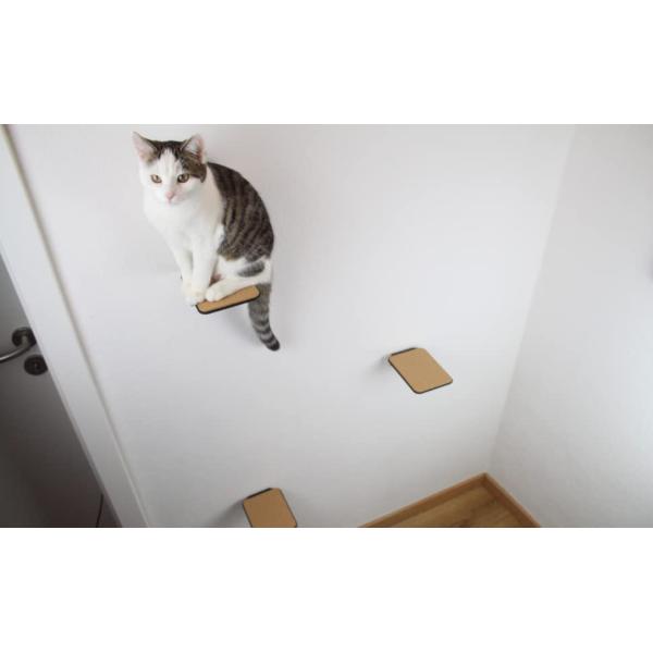 3 мм толщины черный порошок покрытый угловые ступени стенка кровать для кошек для домов с несколькими кошками