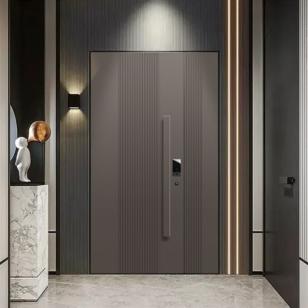 Modern Double Security Door Elegant Style Residential Safety Entrance Door